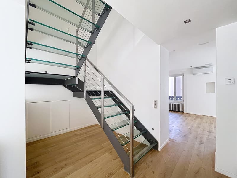 Exceptional duplex in the heart of Geneva (2)
