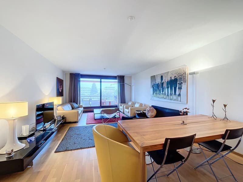 Apartment with breathtaking view (2)