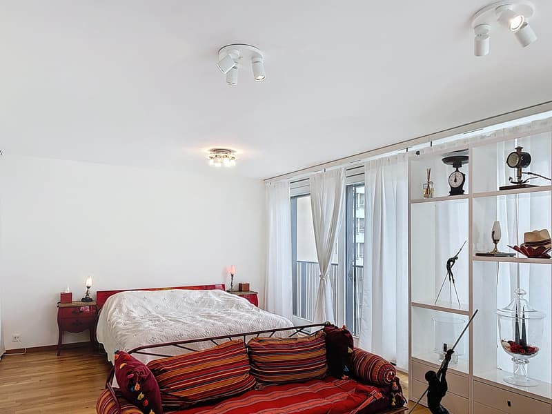 Superbo appartamento traversante con vista impareggiabile a Carouge (4)