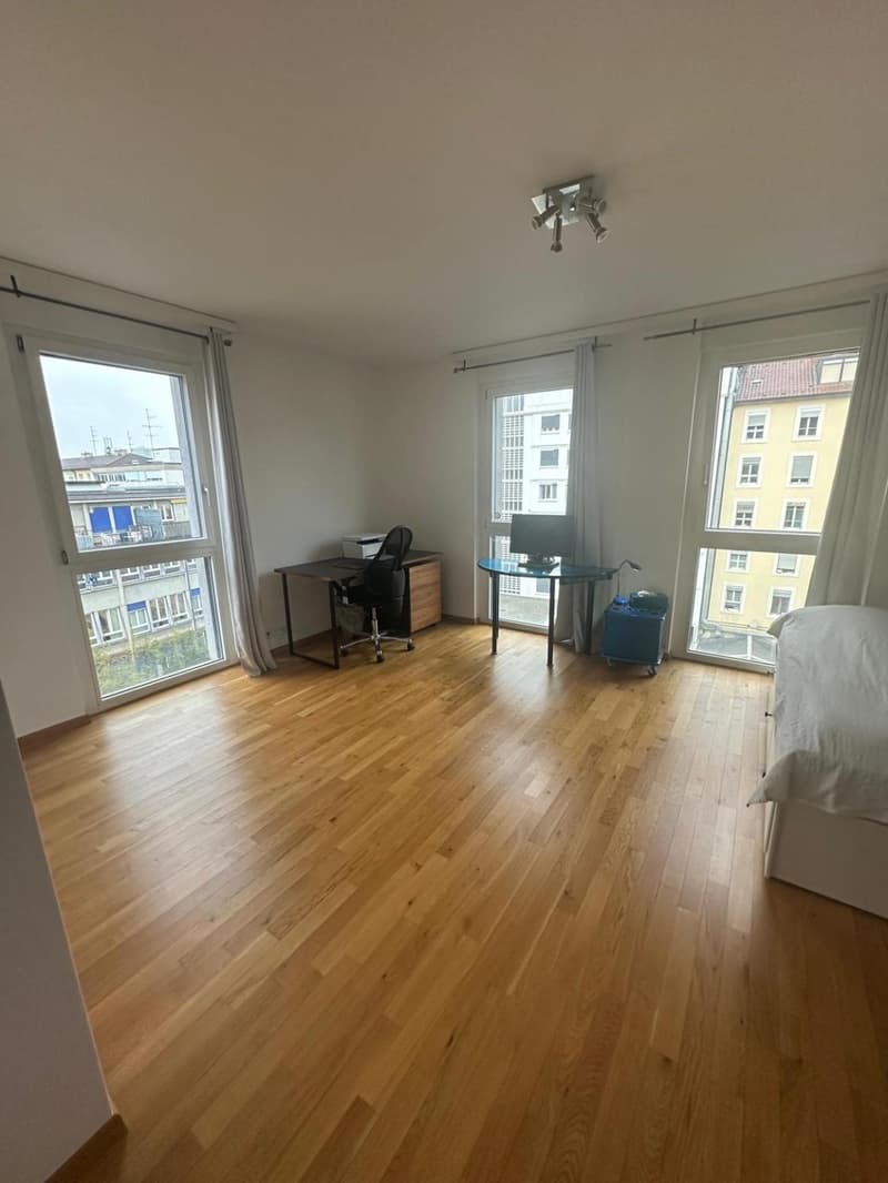 Superbo appartamento traversante con vista impareggiabile a Carouge (3)