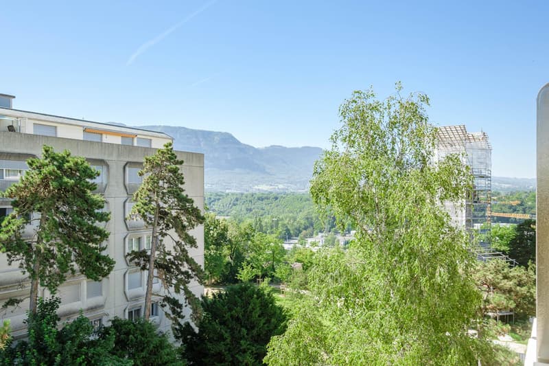 In affitto: Meraviglioso appartamento ristrutturato con vista panoramica (9)