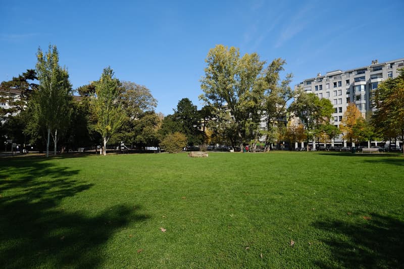 Einzigartiges Durchgangsappartement mit atemberaubendem Blick in Carouge (1)
