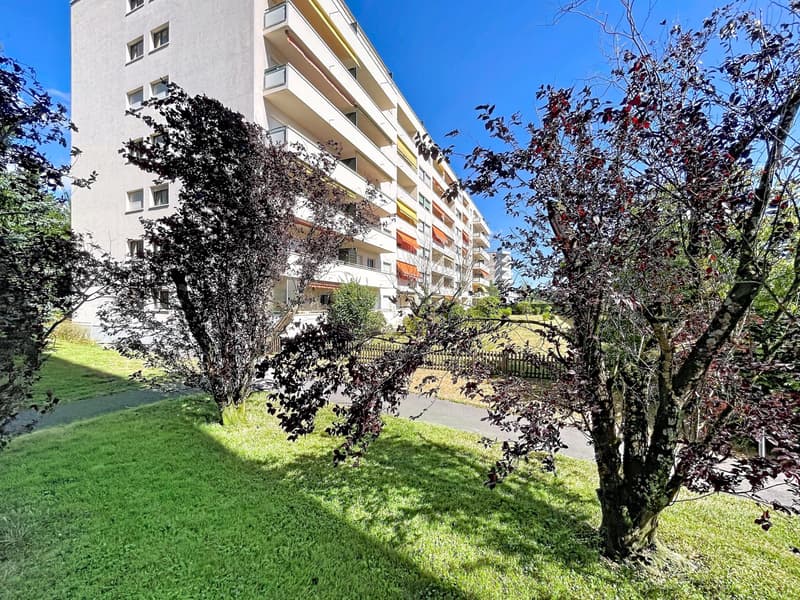 Appartement mit Seeblick & Mont-Blanc (1)