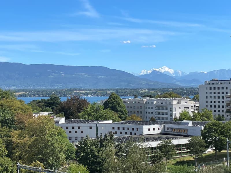 Appartement vue lac & Mont-Blanc (1)