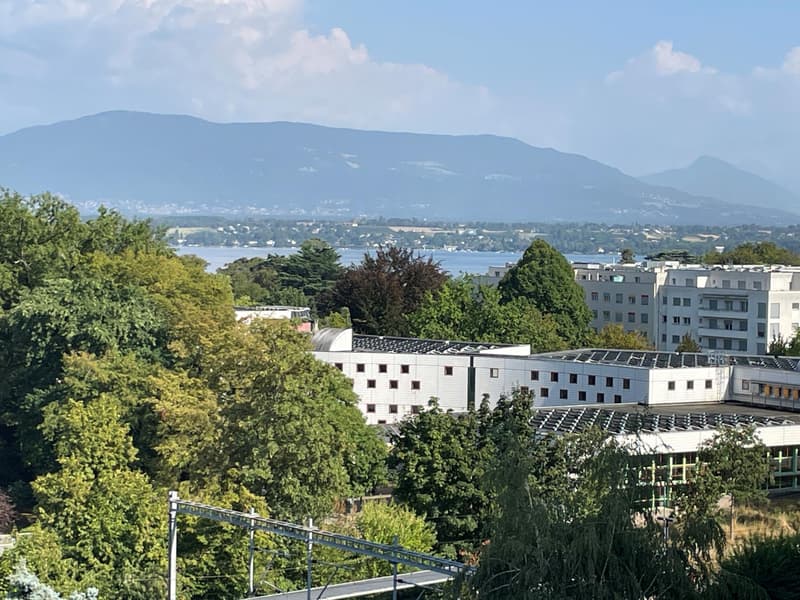 Appartement vue lac & Mont-Blanc (1)