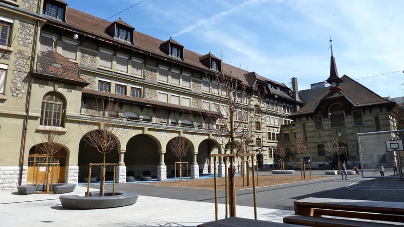 Superbe appartement au coeur des Eaux-Vives (2)