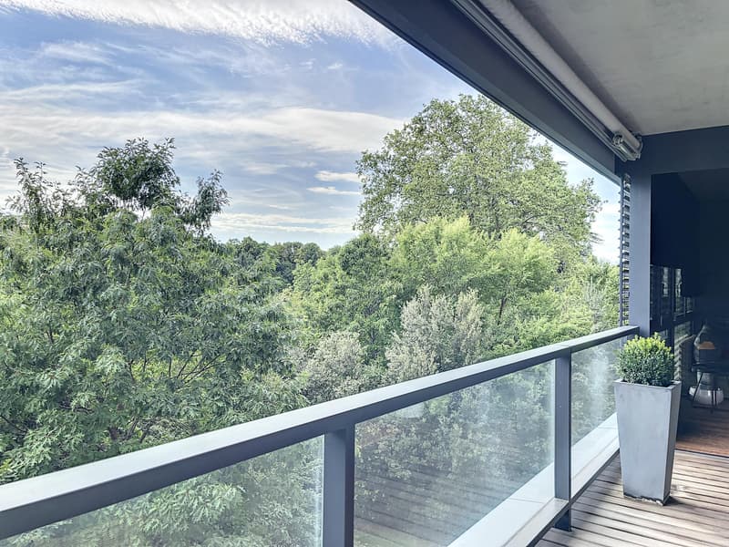 Magnifique appartement à deux pas du centre ville sur Grange-Canal (1)