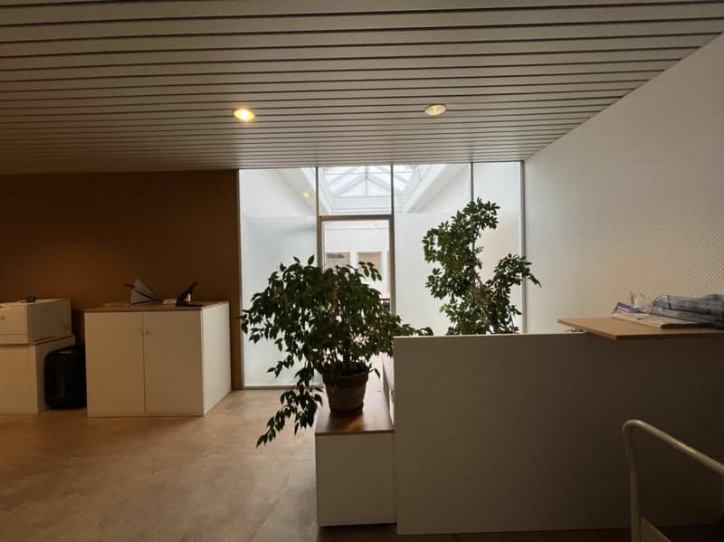 Rendita lorda prevista dell'8,69 % - Uffici/commerciale di 652 m² (3)