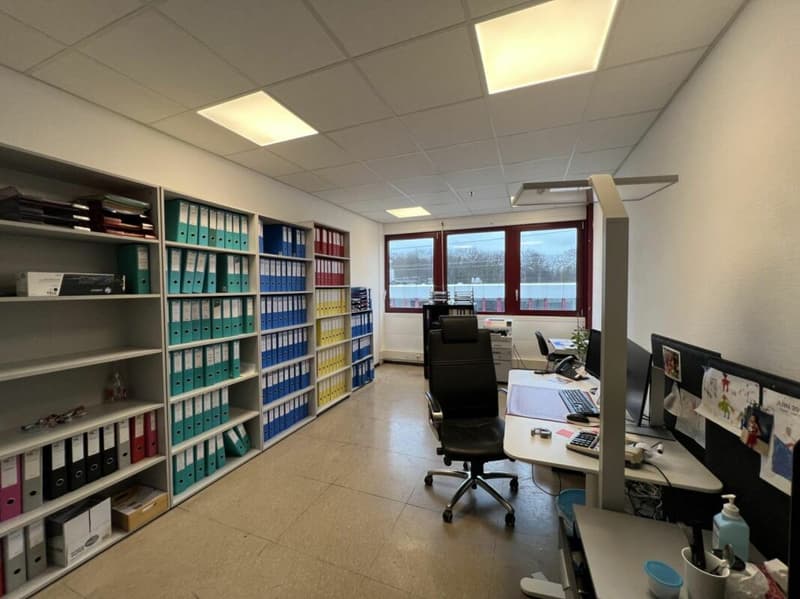 Rendita lorda prevista dell'8,69 % - Uffici/commerciale di 652 m² (12)