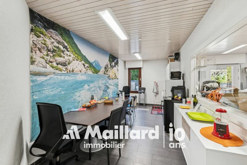 Spazio professionale eccezionale con vasta terrazza privata a Bogis-Bossey (6)