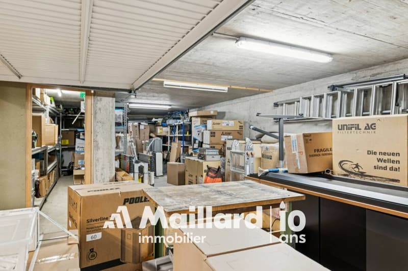 Spazio professionale eccezionale con vasta terrazza privata a Bogis-Bossey (13)