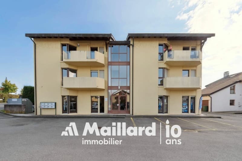 Spazio professionale eccezionale con vasta terrazza privata a Bogis-Bossey (16)