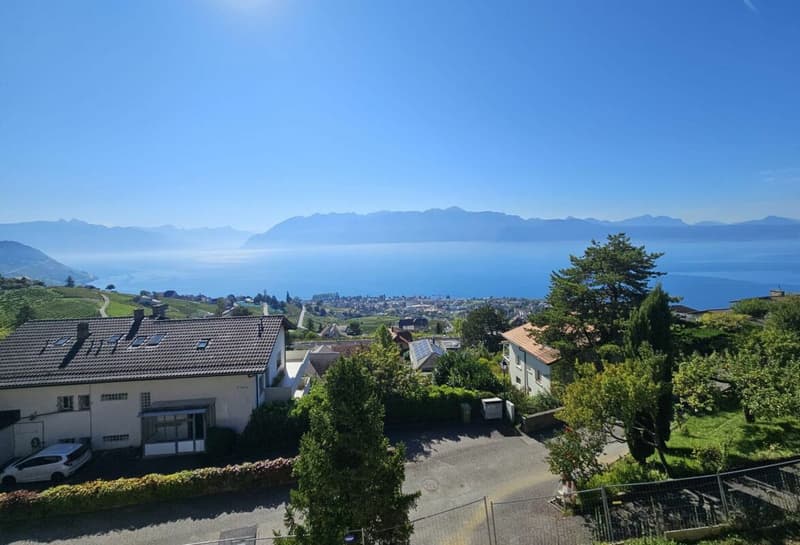 Villa jumelle de 5.5 pièces avec vue panoramique (2)