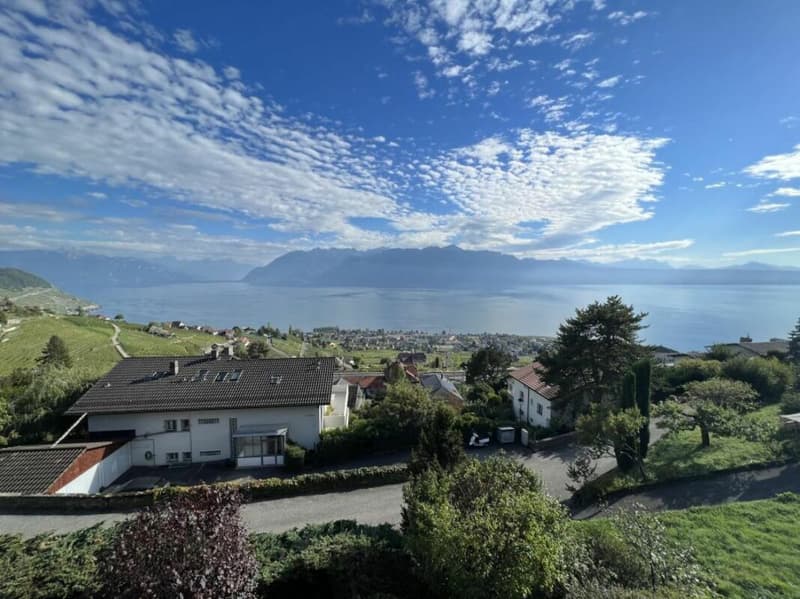 Villa jumelle de 5.5 pièces avec vue panoramique (7)