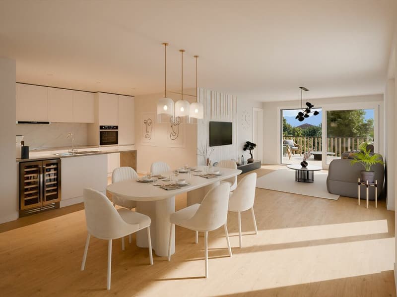 Magnifico appartamento di 2.5 locali con grande terrazza al 2° piano (3)