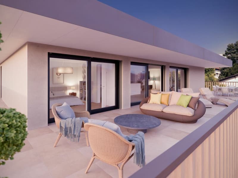 Magnifico appartamento di 2.5 locali con grande terrazza al 2° piano (8)