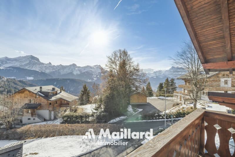 Chalet in Chesières (13)