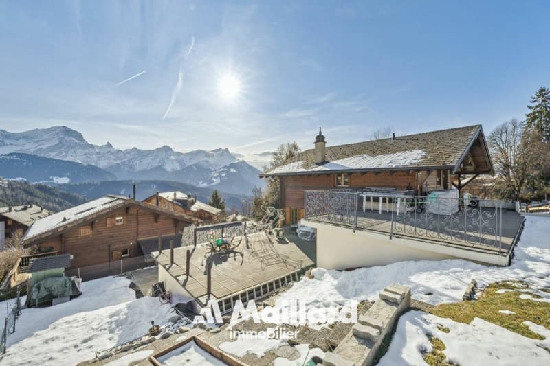 Chalet in Chesières (12)