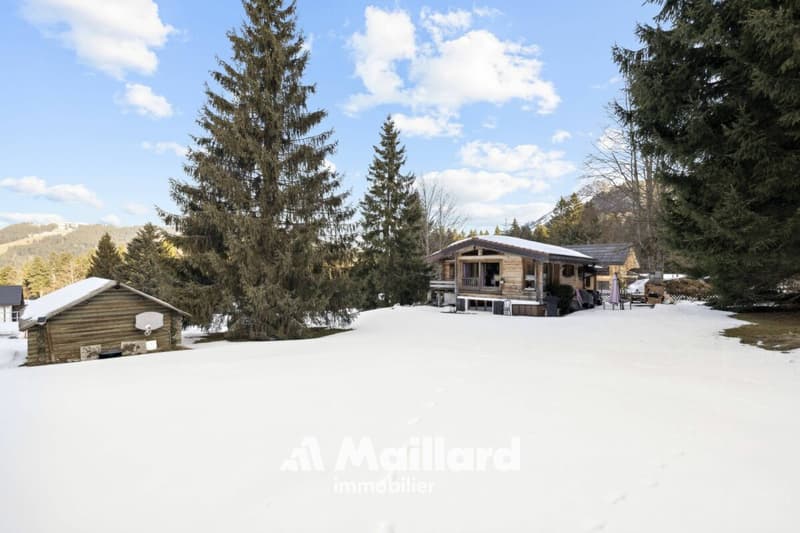 Charmant chalet de 5.5 pièces (19)