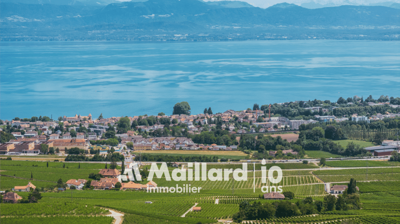 Villa di architetto - Vista panoramica sul lago! (17)