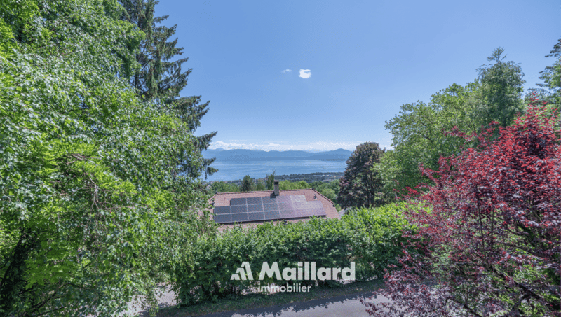 Villa d'architecte - Vue panoramique sur le lac ! (20)