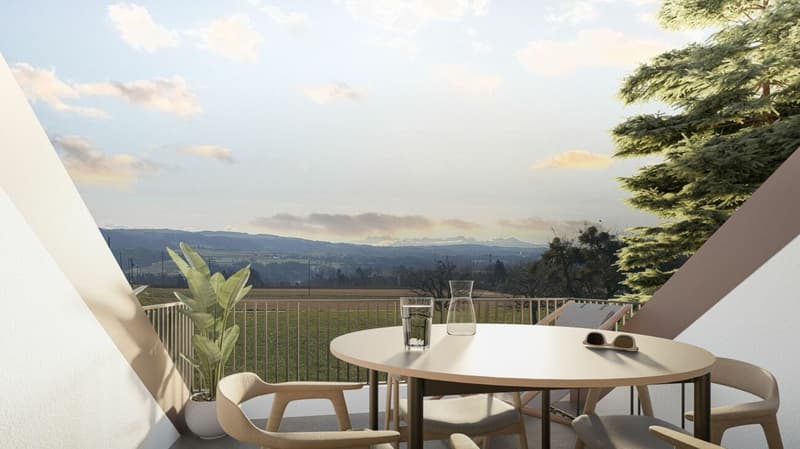 Apartment 5.5 rooms in Cronay (10)