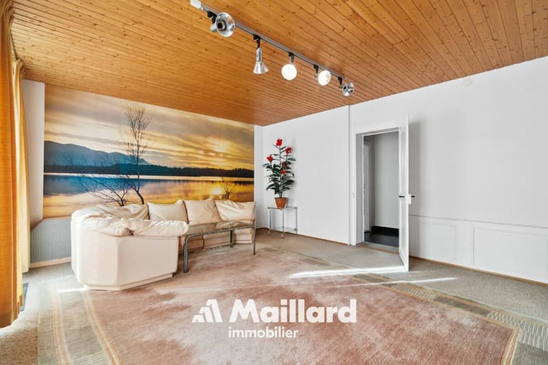 Grande casa di villaggio con 2 appartamenti a Grandson (6)