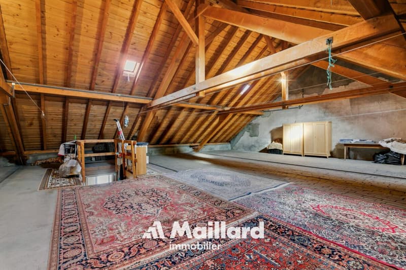 Grande casa di villaggio con 2 appartamenti a Grandson (12)