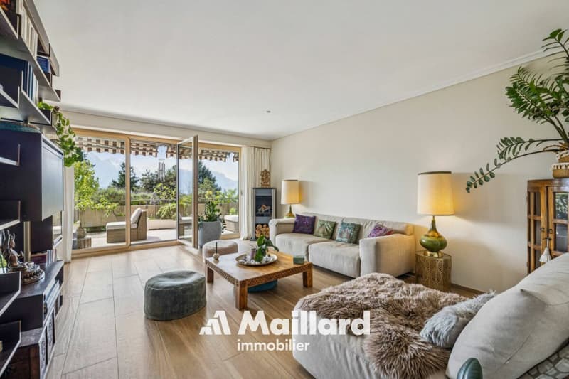 Magnificent apartment in Montreux (5)
