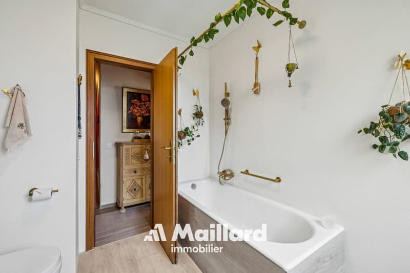 Magnificent apartment in Montreux (12)