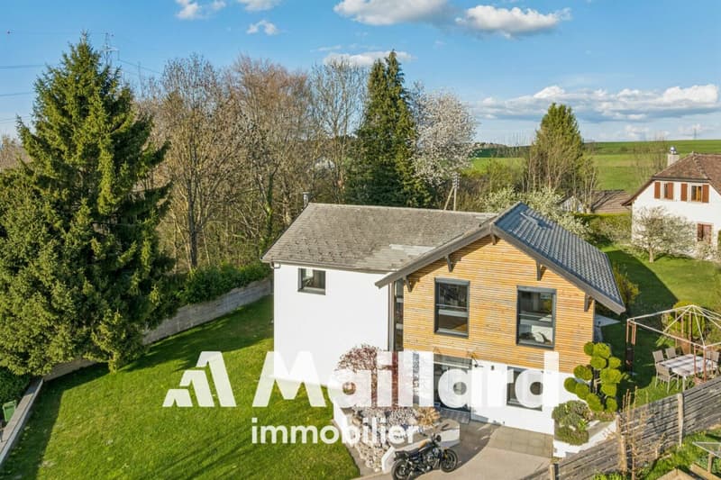 Villa individuale completamente ristrutturata (2)