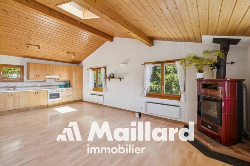 Affascinante chalet individuale su parcelle alberata di 1'407 m² (4)