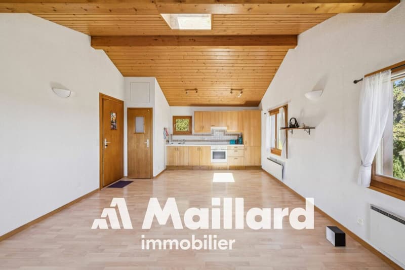 Affascinante chalet individuale su parcelle alberata di 1'407 m² (5)