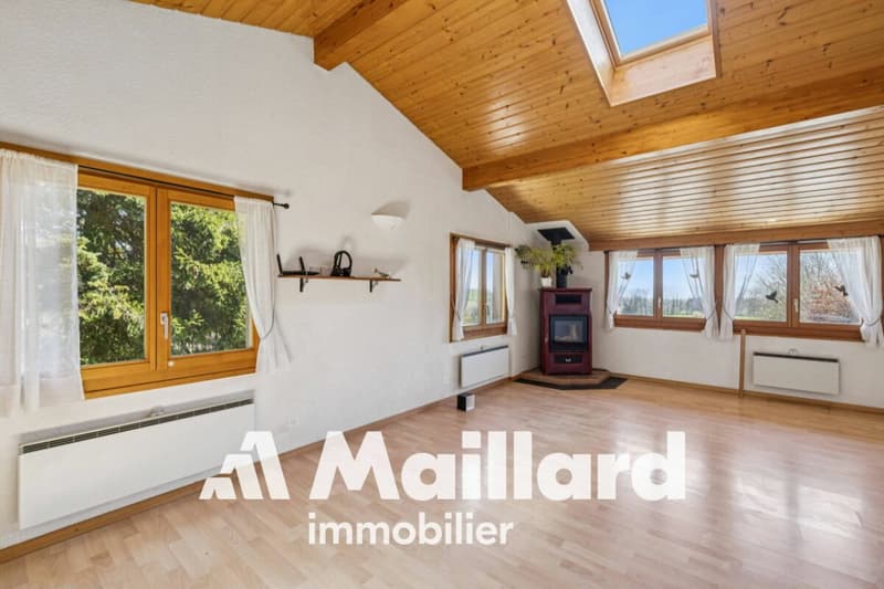 Affascinante chalet individuale su parcelle alberata di 1'407 m² (6)