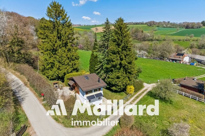 Affascinante chalet individuale su parcelle alberata di 1'407 m² (2)