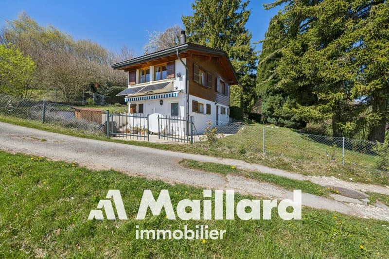 Affascinante chalet individuale su parcelle alberata di 1'407 m² (13)