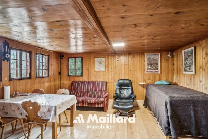 Chalet in Sépey (5)