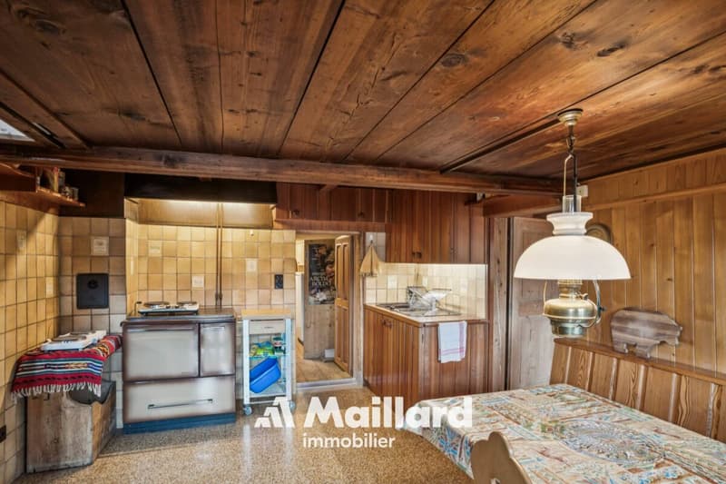 Chalet in Sépey (6)