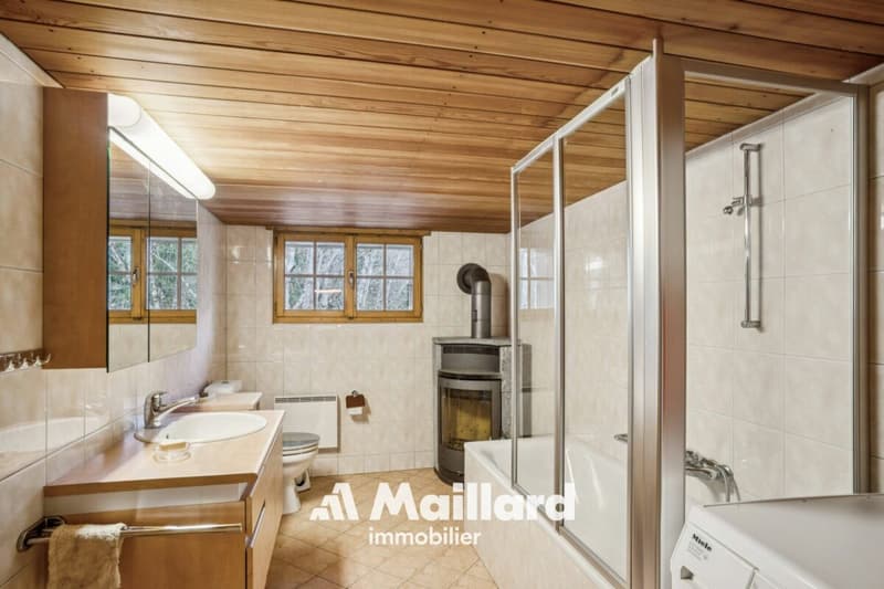 Chalet in Sépey (12)