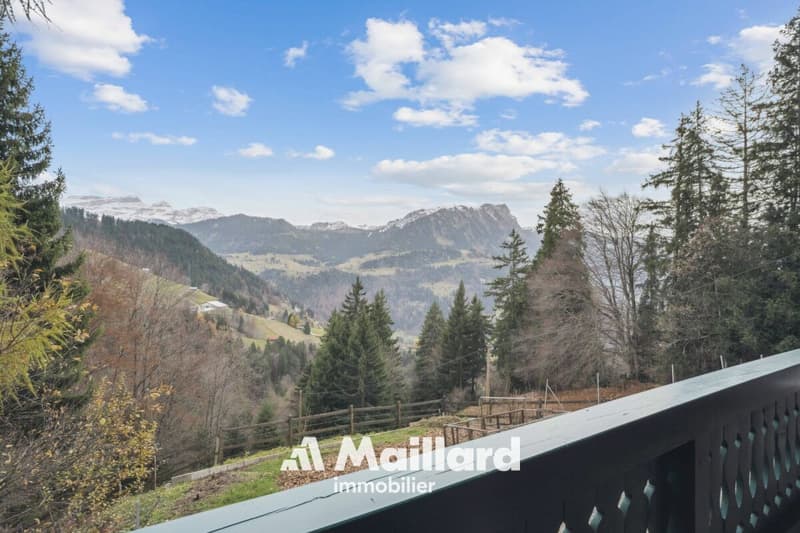 Chalet in Sépey (3)