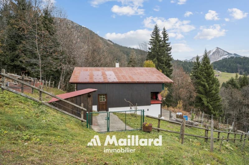 Chalet in Sépey (2)