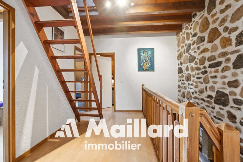 Charmant et spacieux appartement de 5 pièces idéalement situé à Gland (9)