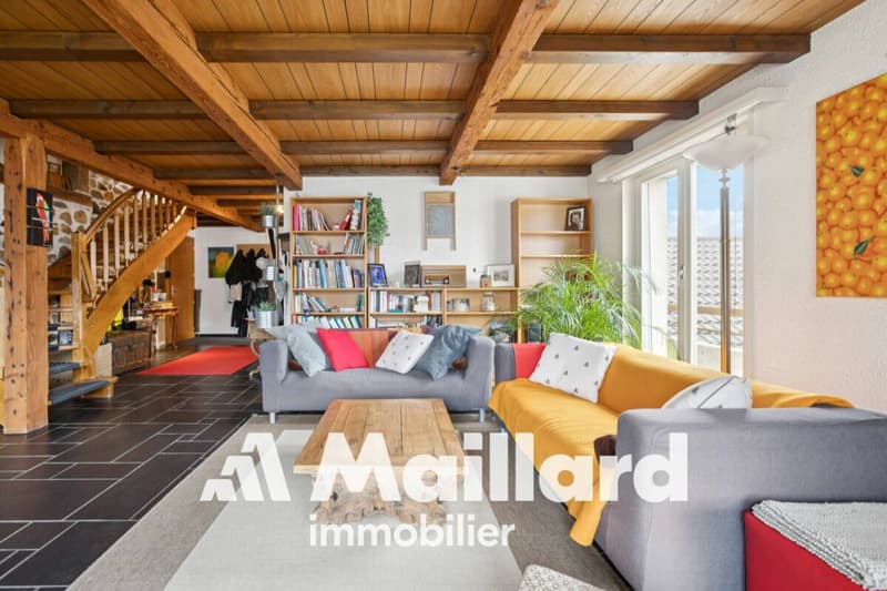 Charmant et spacieux appartement de 5 pièces idéalement situé à Gland (2)