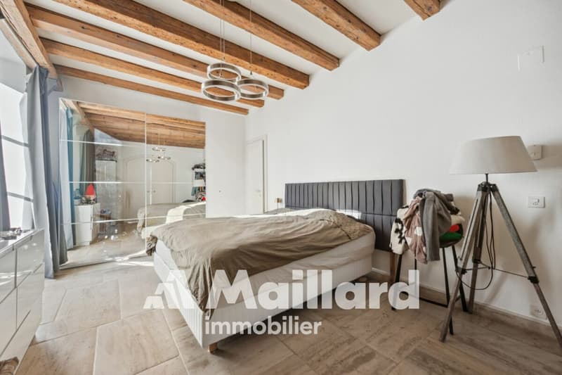 Elegant, spacious and bright, in the heart of the old Bourg! (7)