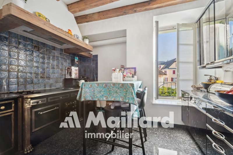 Elegant, spacious and bright, in the heart of the old Bourg! (4)