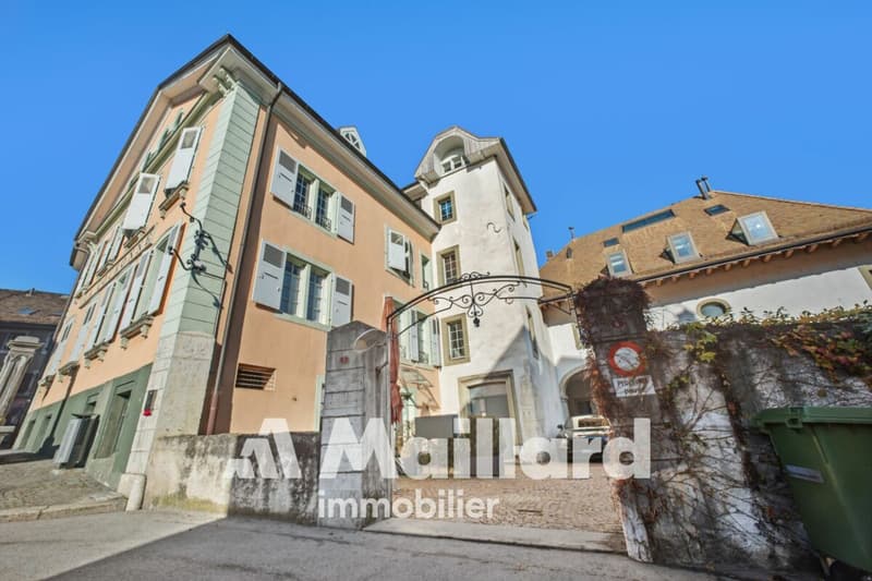 Elegant, spacious and bright, in the heart of the old Bourg! (1)