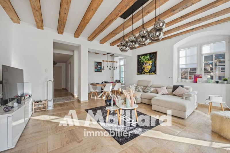 Elegant, spacious and bright, in the heart of the old Bourg! (3)