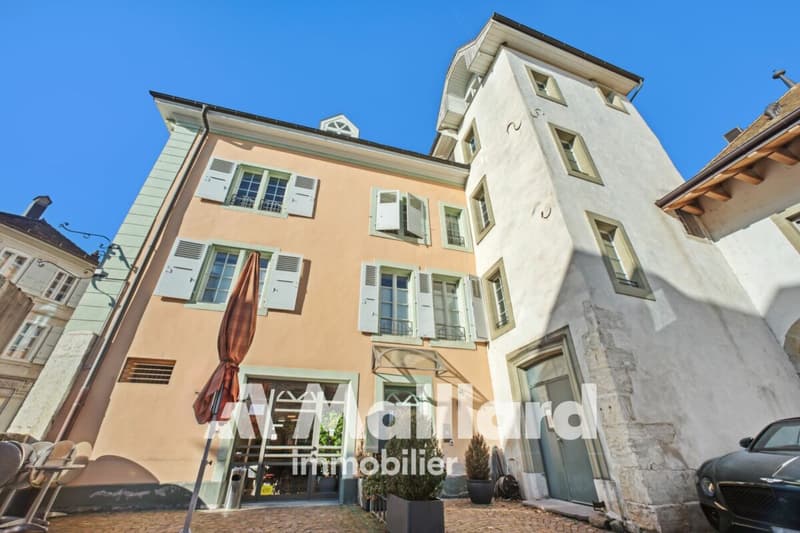 Elegant, spacious and bright, in the heart of the old Bourg! (8)