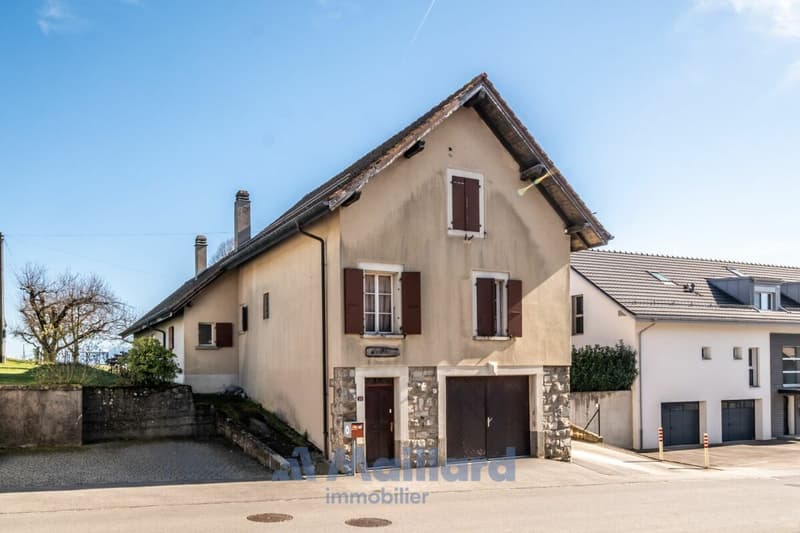 Charming individual village house (3)