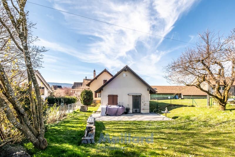 Charming individual village house (5)